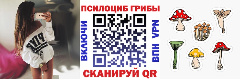 мориарти наркотические препараты  Дальнереченск  Псилоцибиновые грибы Psilocybe 